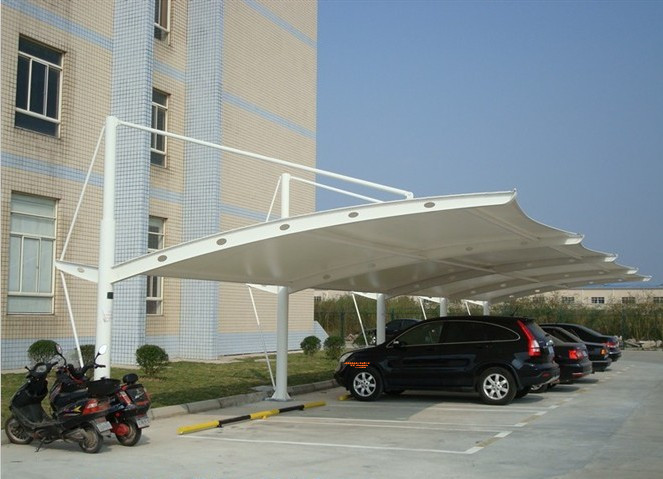 1554798653618473.jpg 1 (24).jpg