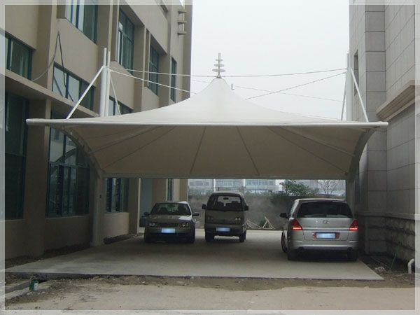 1557816841211117.jpg 10092.jpg