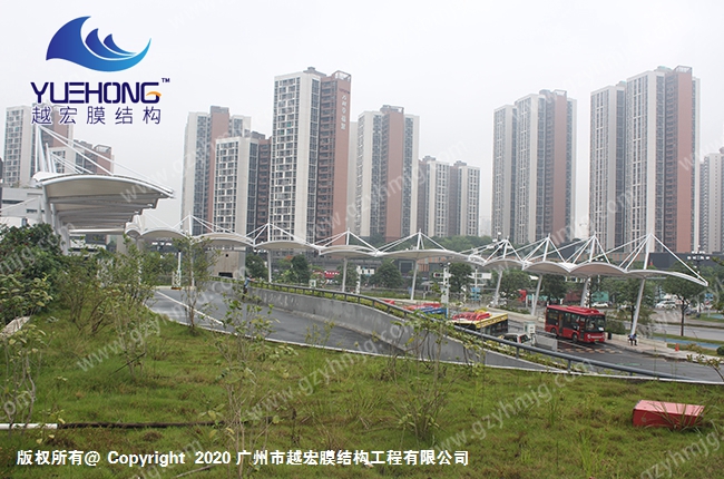 1601712101163290.jpg 1 (5).jpg