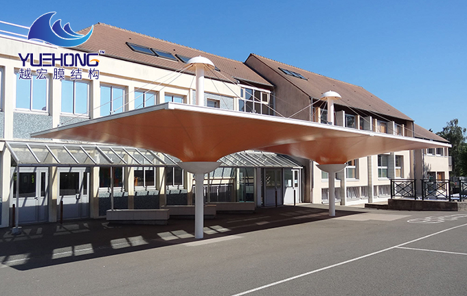 1622010952875609.jpg 215.jpg